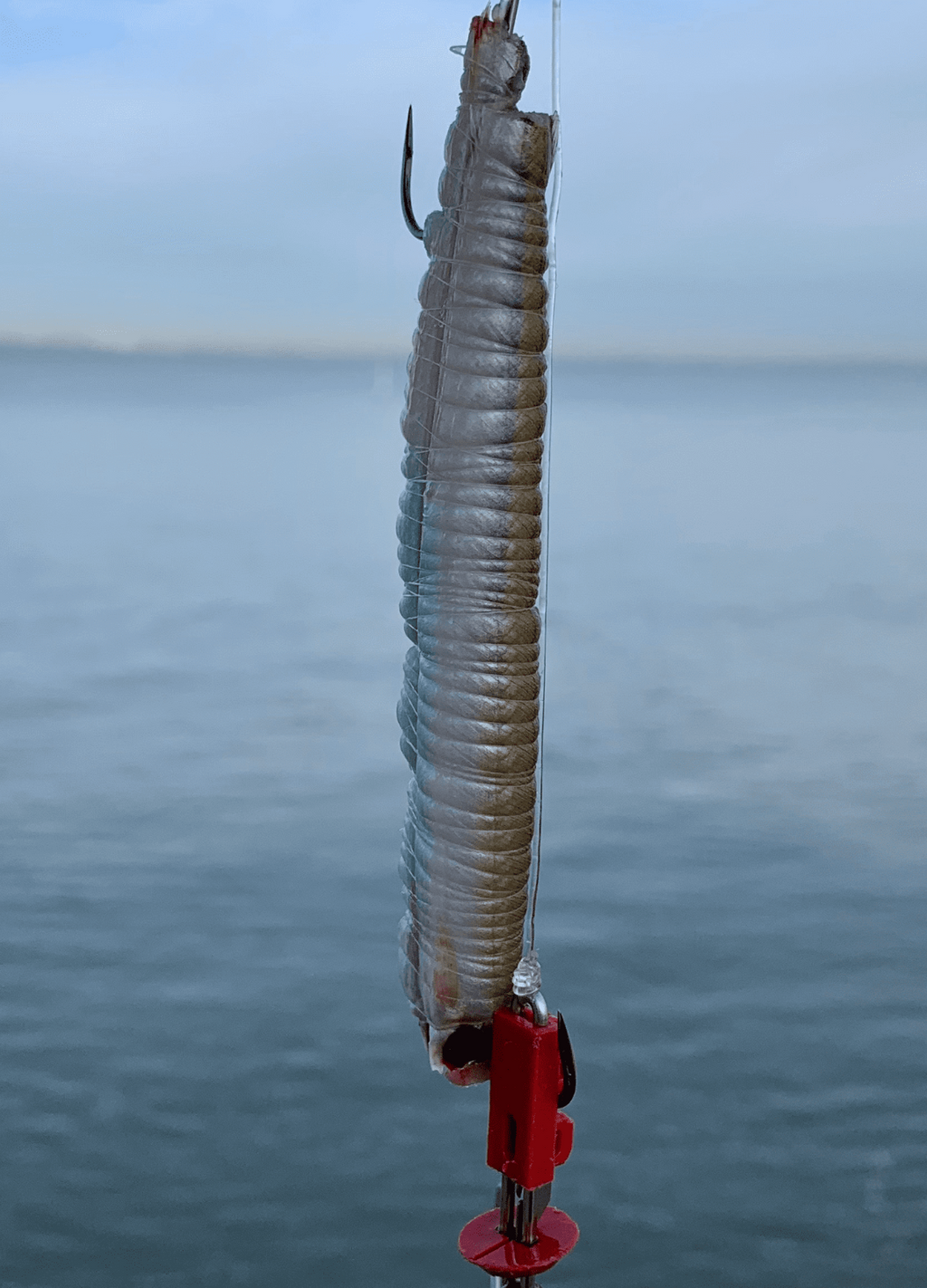 GEMINI TACKLE GENIE SPRING LOADER TOOL x 2 | SEA FISHING ACCESSORIES