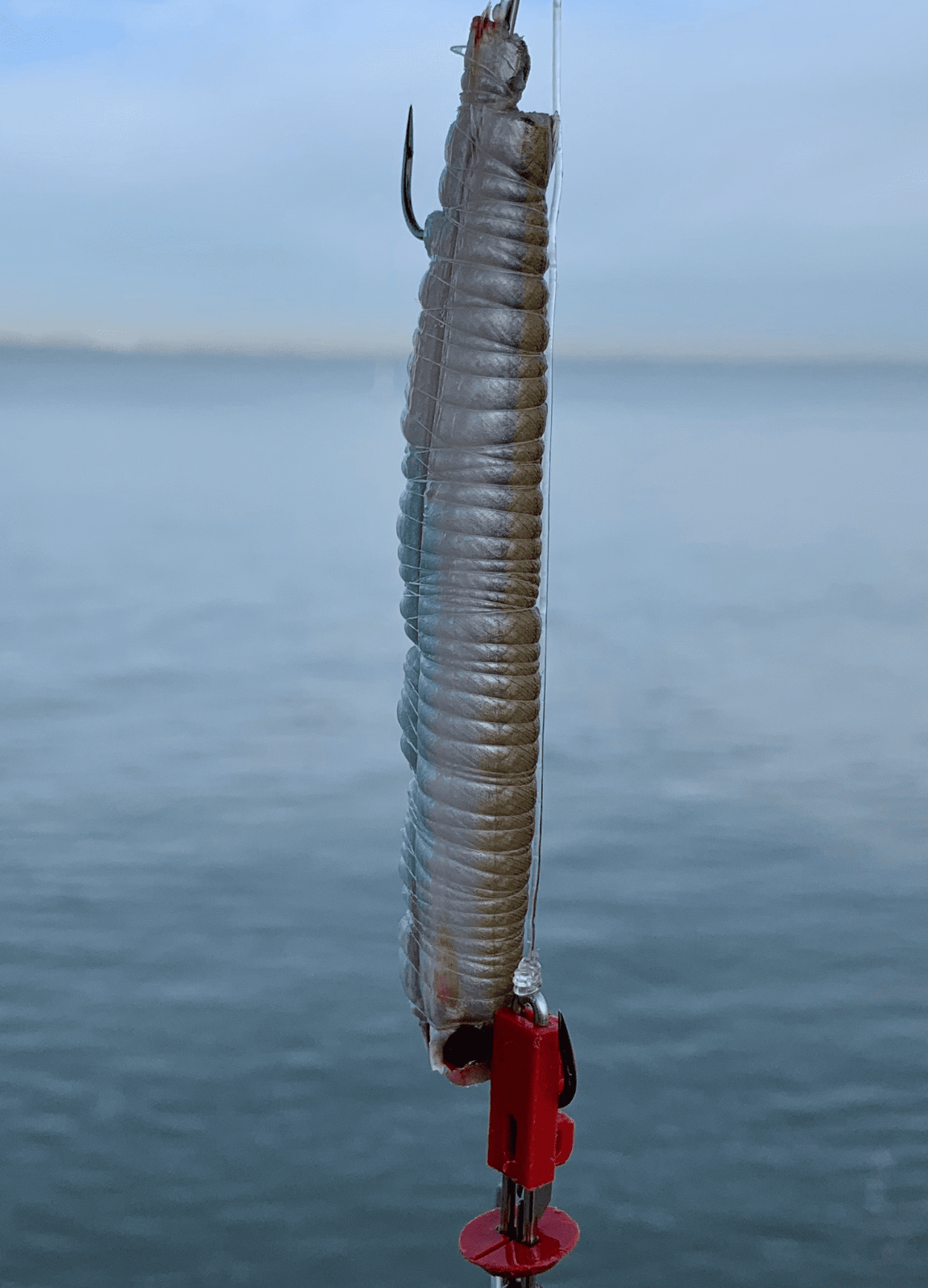 GEMINI TACKLE GENIE SPRING LOADER TOOL x 2 | SEA FISHING ACCESSORIES